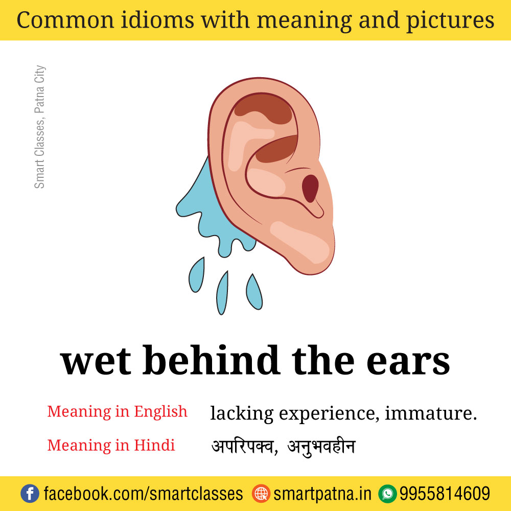 Behind ears meaning the wet Wet behind